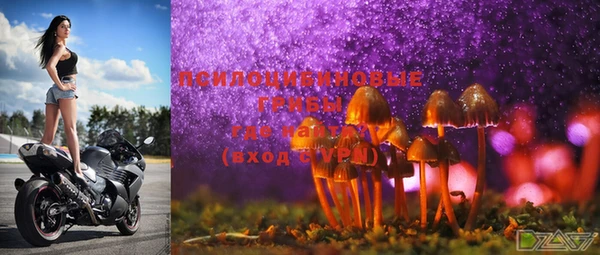 мяу мяу мука Белокуриха