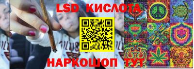 молекула духа Тверь