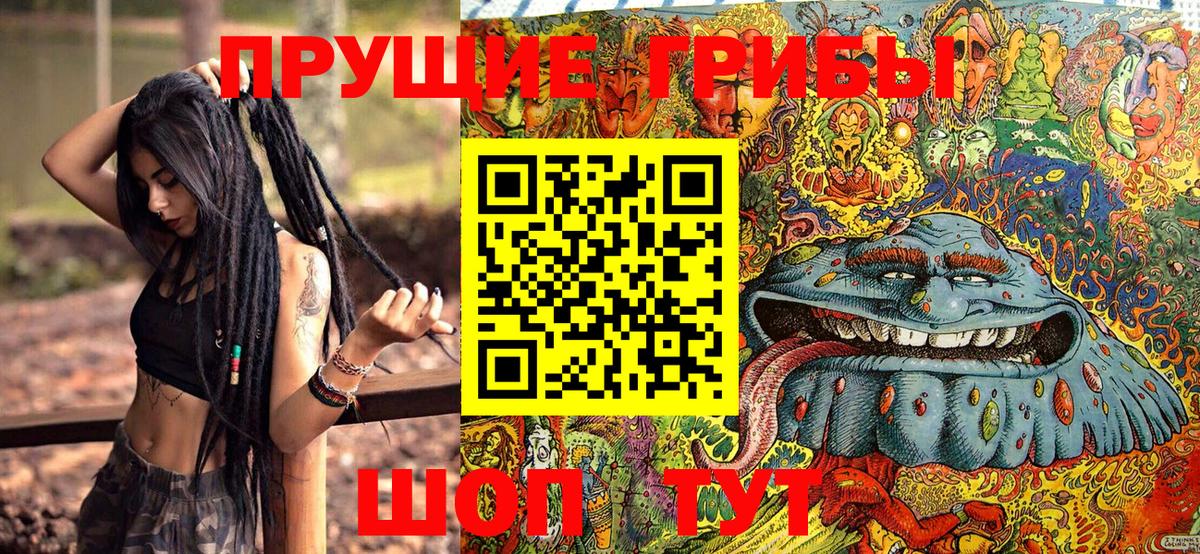 Псилоцибиновые грибы GOLDEN TEACHER  Галлюциногенные грибы прущие грибы  Сегежа  Вход с VPN 