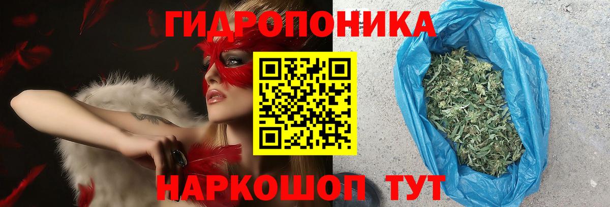 Марихуана марихуана Сегежа